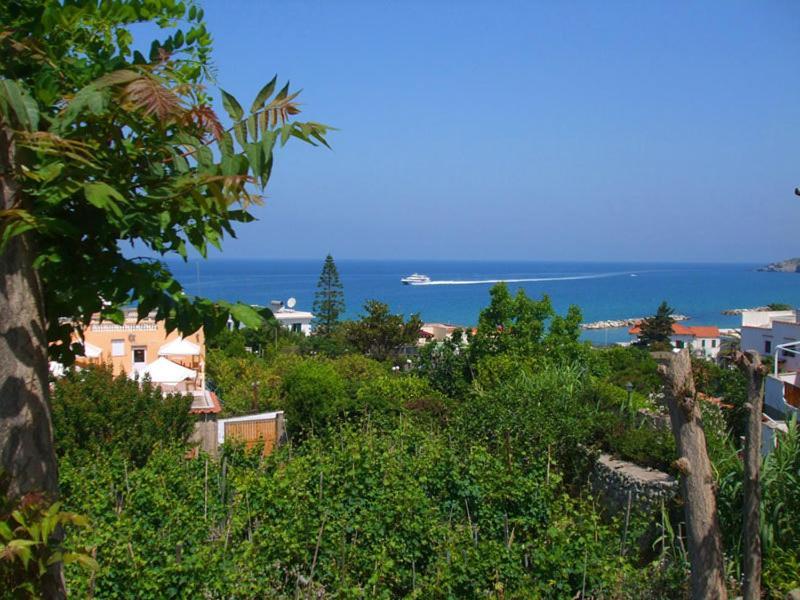 Albergo Villa Hibiscus Forio di Ischia Exterior foto